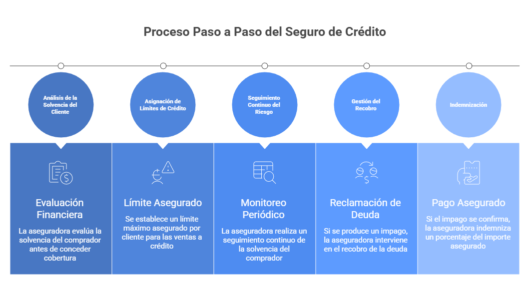Proceso paso a paso del seguro de crédito para empresas